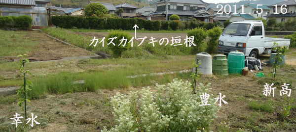 d0122497_1235231.jpg