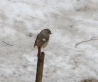 c0155902_19252118.jpg
