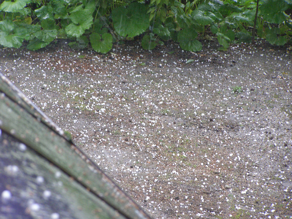 d0120803_23361424.jpg