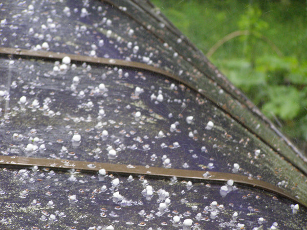 d0120803_23372989.jpg