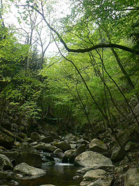 f0164503_23424838.jpg