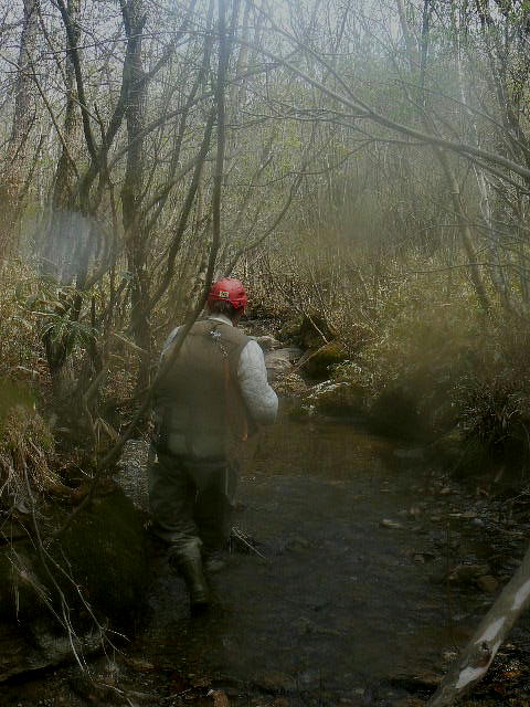 f0164503_235565.jpg