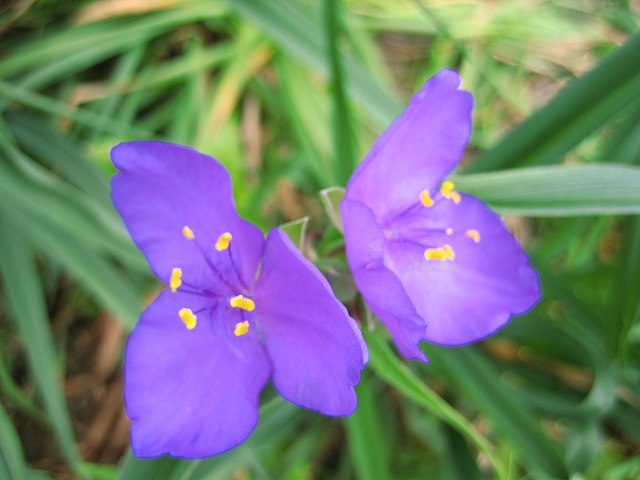 a0188405_17451425.jpg