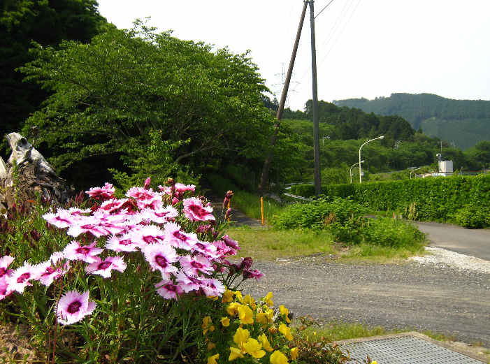 d0154609_15581893.jpg