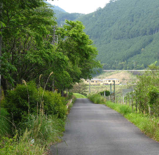 d0154609_1614837.jpg