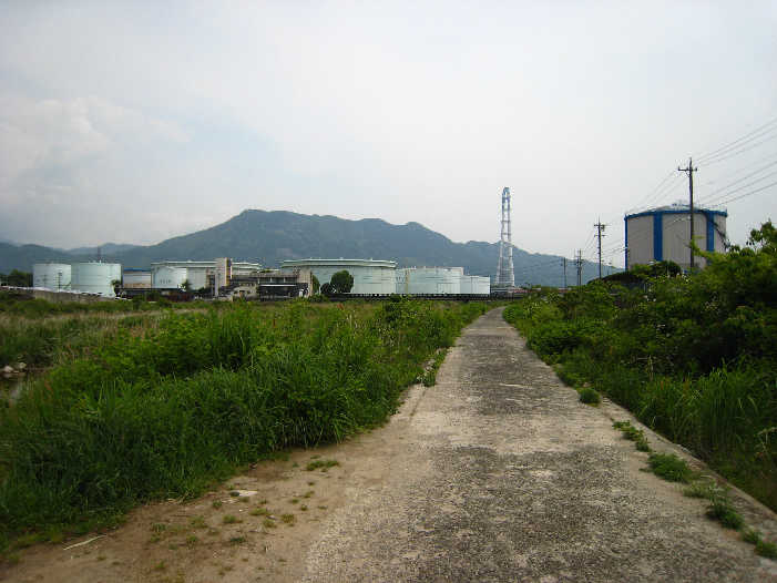 d0154609_16232239.jpg
