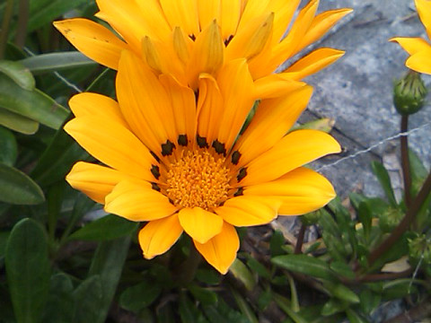 f0046614_21355969.jpg