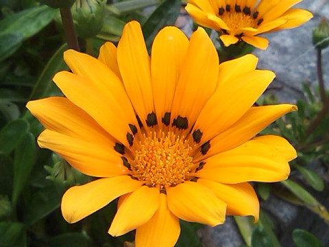 f0046614_21361336.jpg