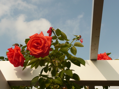 f0230114_1131172.jpg