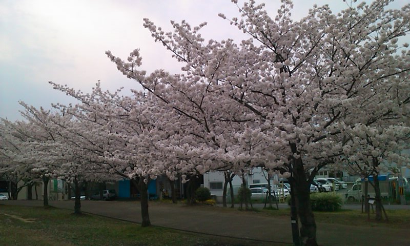 a0204718_11165333.jpg