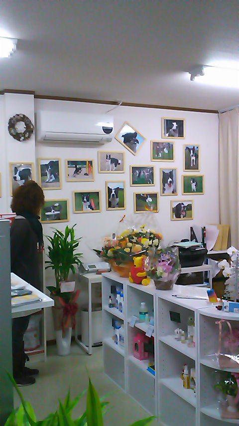 a0204718_129208.jpg