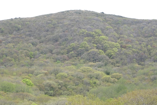c0042418_2073850.jpg