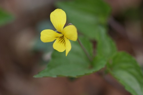 c0042418_208887.jpg