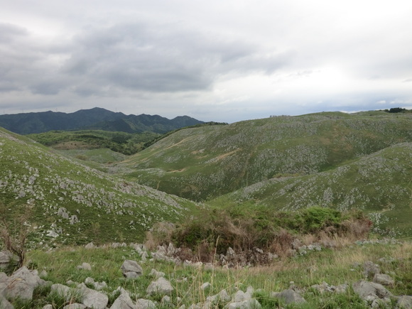 d0221319_11383895.jpg