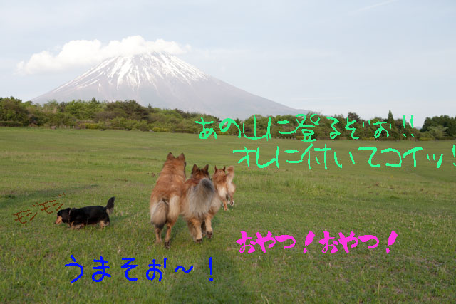 e0192921_22403958.jpg