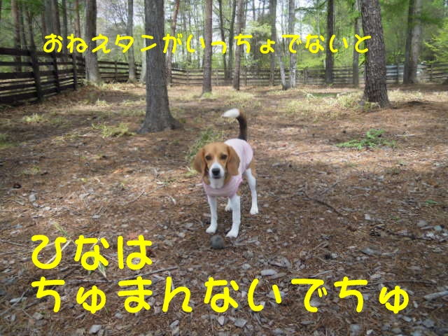 c0166622_8191325.jpg