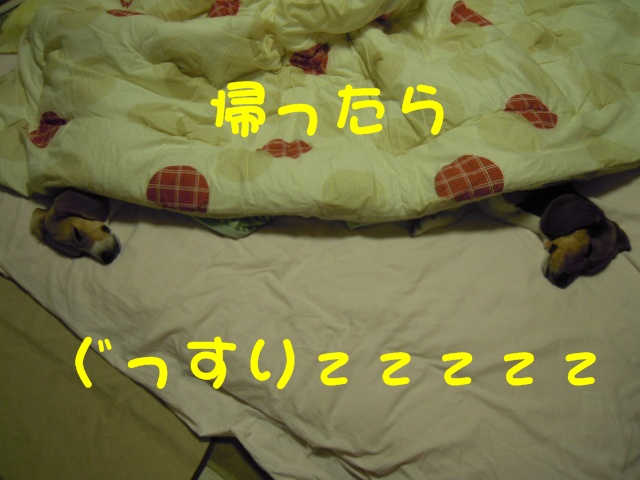 c0166622_8194073.jpg