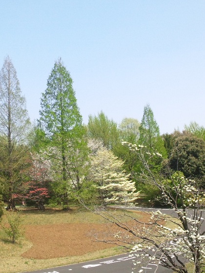 b0199924_19432151.jpg