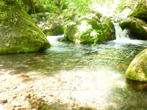 b0195927_21344532.jpg