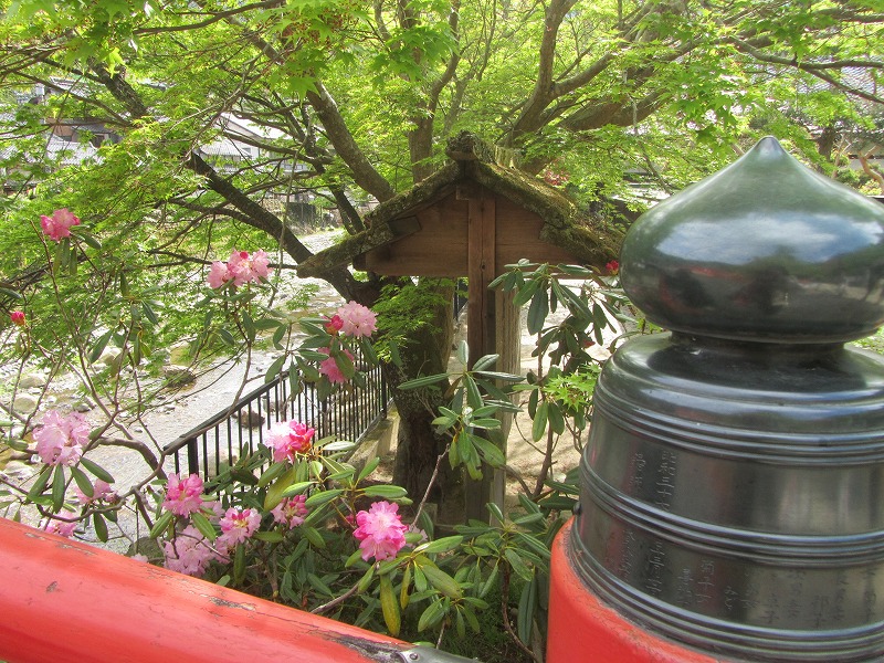 f0054429_13441461.jpg