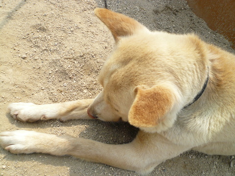 a0162330_11185389.jpg