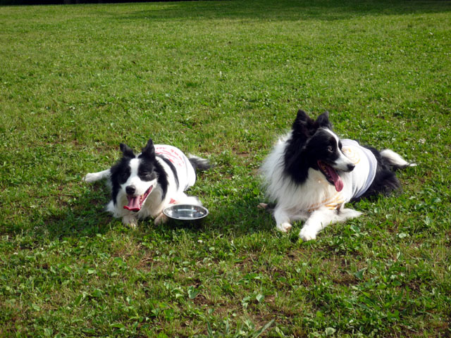 d0059230_853272.jpg