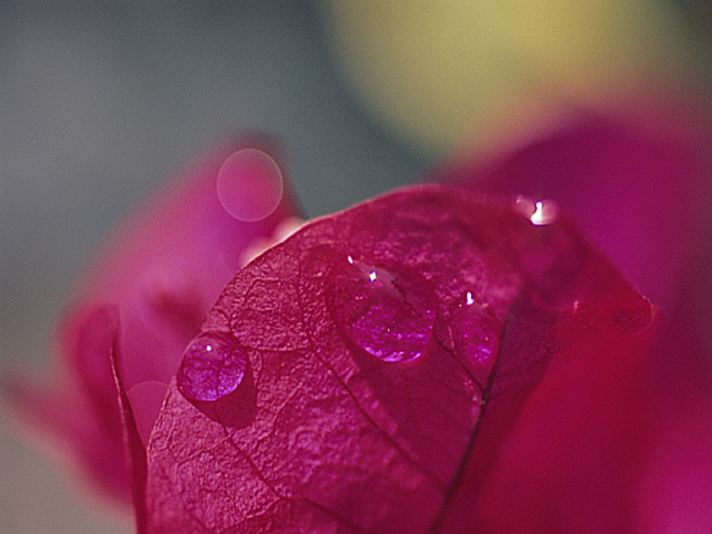 b0042837_21375054.jpg