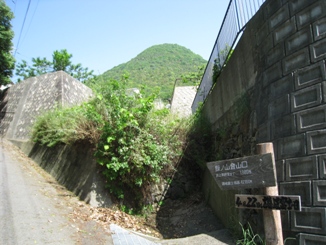 c0077338_652381.jpg