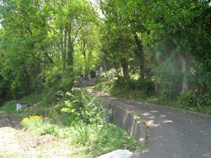 c0077338_6531565.jpg