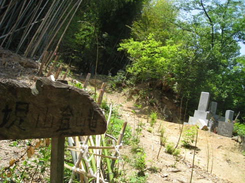 c0077338_6534032.jpg