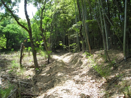 c0077338_6535859.jpg