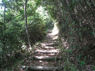 c0077338_654179.jpg