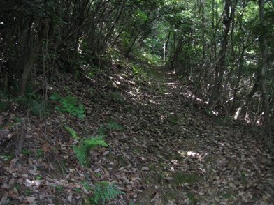 c0077338_6544021.jpg