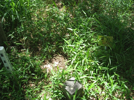 c0077338_6552181.jpg