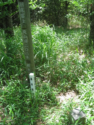 c0077338_6553773.jpg