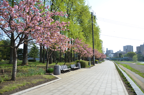 d0156438_1105640.jpg