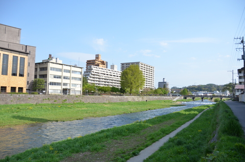 d0156438_1135345.jpg