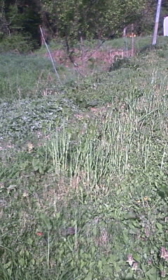 d0010039_23552592.jpg