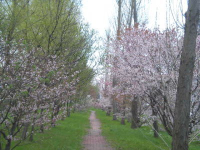 b0001440_21343579.jpg