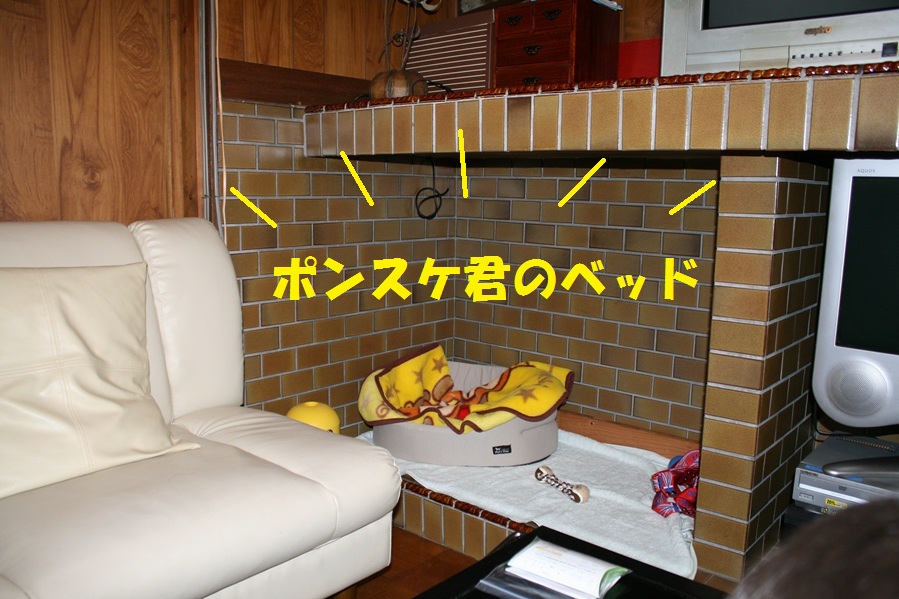 d0077740_0141421.jpg