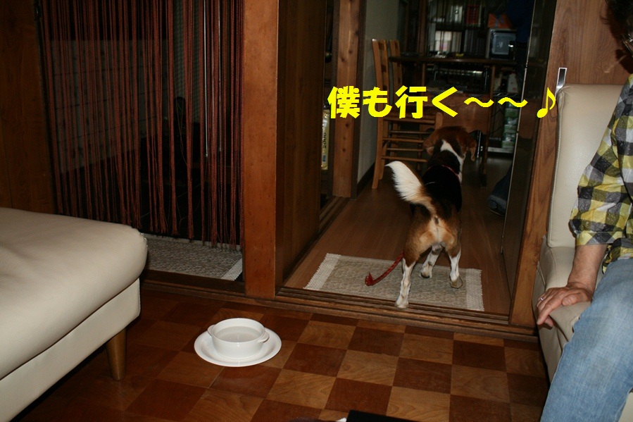 d0077740_0161282.jpg