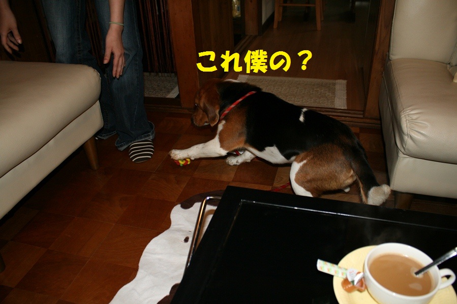 d0077740_0172993.jpg