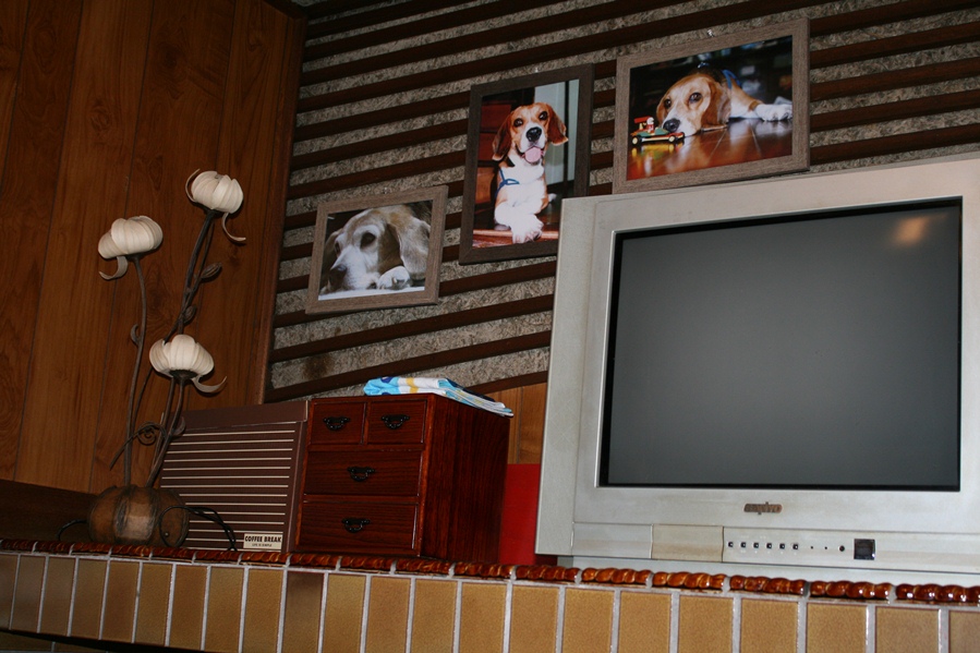 d0077740_021658.jpg