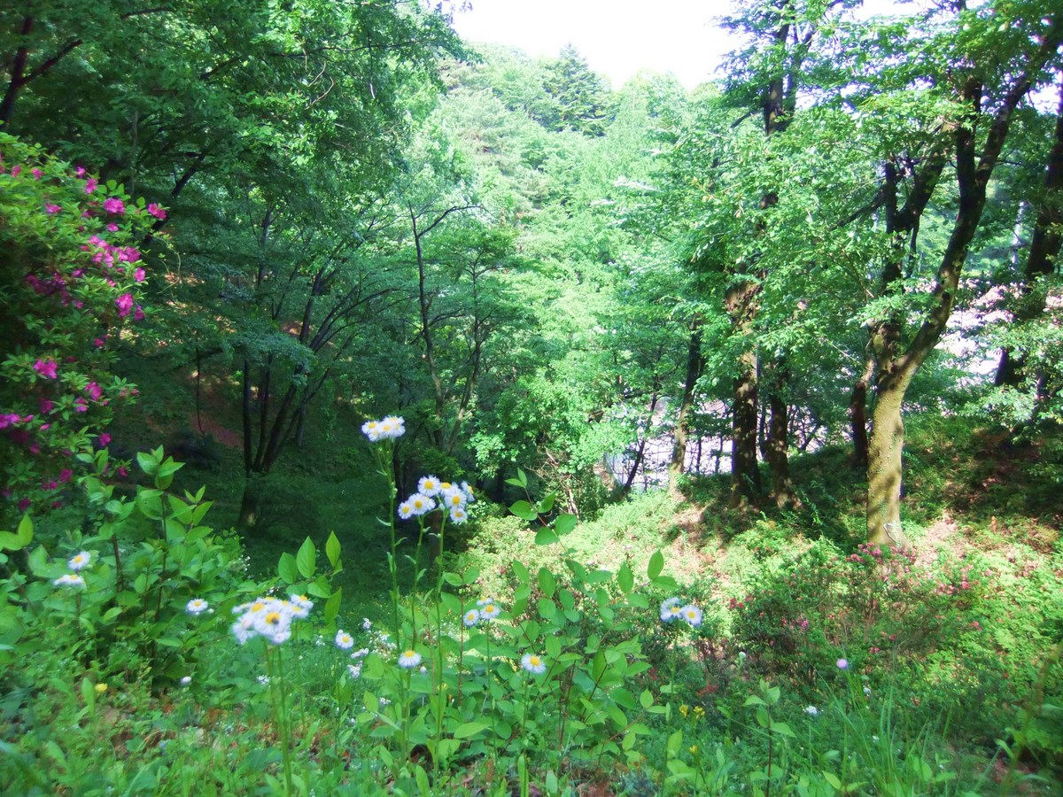 e0206242_19104146.jpg