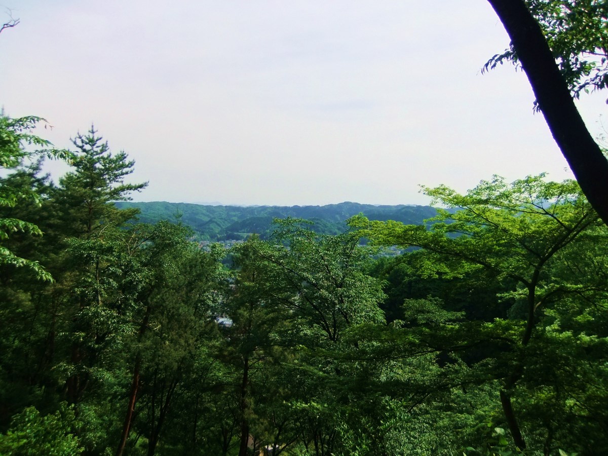 e0206242_19174018.jpg