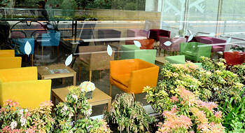 d0039443_1163816.jpg