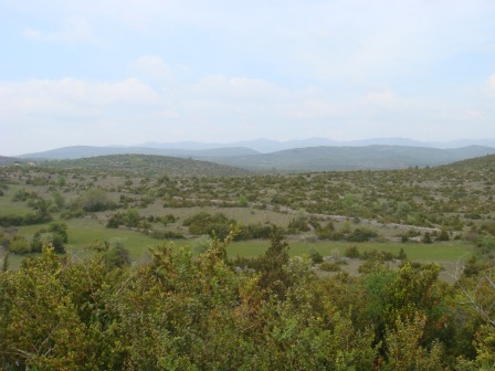 d0227344_6271680.jpg