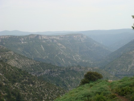 d0227344_6292245.jpg