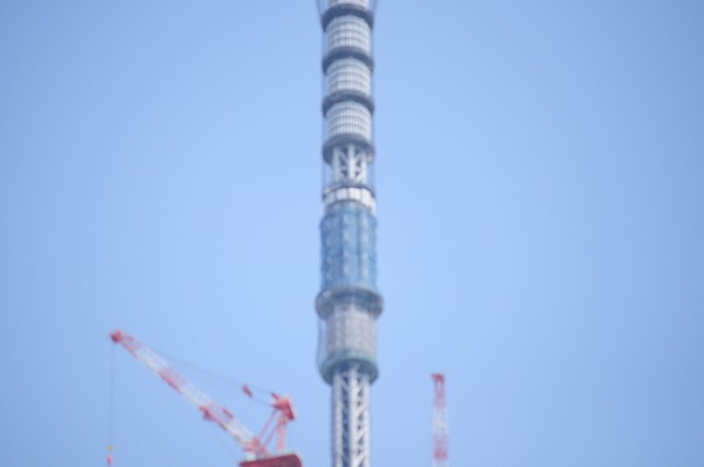 b0162445_2391540.jpg