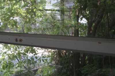 b0148450_1475813.jpg